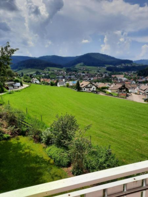 Apartment Aida Baiersbronn